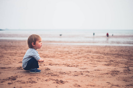 一个可爱的蹒跚学步的小男孩在阴天坐在海滩上。