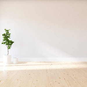 空虚的斯堪的纳维亚房间内部与植物在木制地板上的想法。 家北欧内部。 三维插图