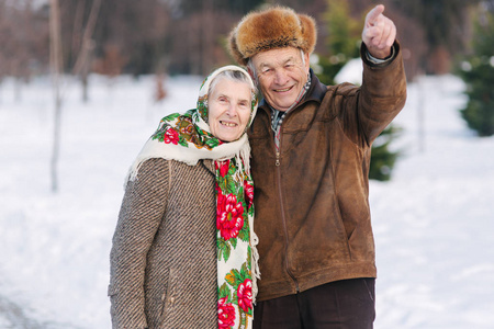 在冬季的时候, 老夫妇在公园里放松。快乐的祖父和祖母一起散步