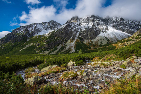 斯洛伐克塔特拉山在夏天。 绿坡，山峰覆盖着雪。 晴天。