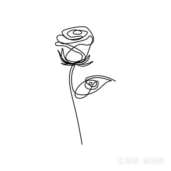 玫瑰花一线艺术单画矢量插图极简设计孤立的白色背景
