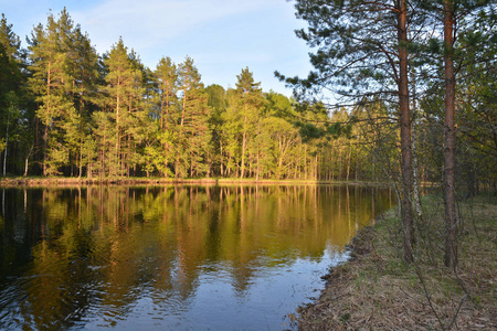 春天的晚上在河上。 春天的风景在俄罗斯国家公园里。