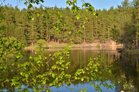 春天在河上。 春天的风景在俄罗斯国家公园里。