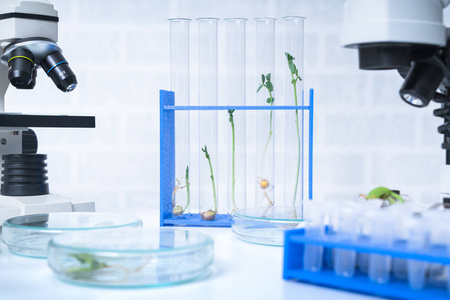 生态实验室探索植物育种的新方法