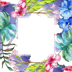 蓝色和粉红色异国情调的热带夏威夷花。水彩背景插图集。框架边框装饰正方形