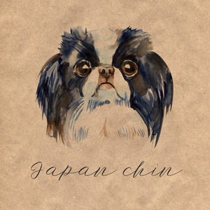 可爱的狗日本下巴。被隔绝的水彩例证