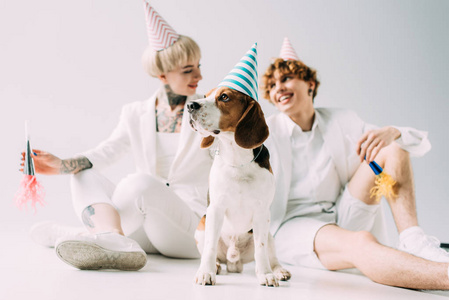 选择性聚焦可爱的比格犬在派对帽与愉快的夫妇在灰色背景。
