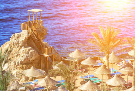 阳光明媚的度假海滩，棕榈树在红海海岸的沙尔姆埃尔谢赫西奈，埃及亚洲夏季炎热。