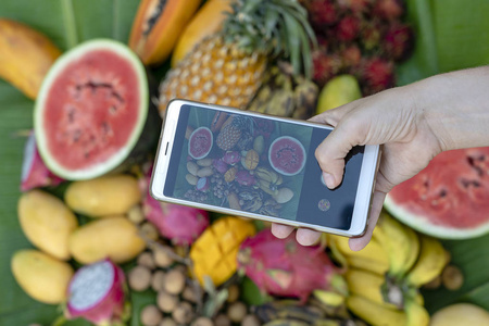 女人手拿电话摄影热带水果。 智能手机照片用于社交媒体或博客。 甜芒果木瓜皮塔哈亚香蕉西瓜菠萝。 纯素素食健康食品