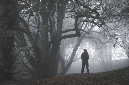 在一个雾天，一个孤独的幽灵蒙面人站在一条冬天森林的小路上。一个兵变的，灰色的编辑。