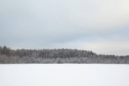 乡村景观地上覆盖着雪和森林