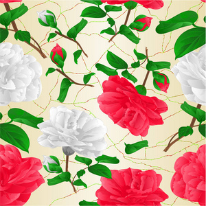 无缝质地红白色降低山茶花花蕾开裂背景复古矢量插图可编辑手绘