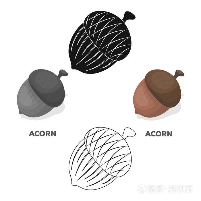 卡通风格的矢量符号股票插图中的不同类型的坚果单一图标插画-正版