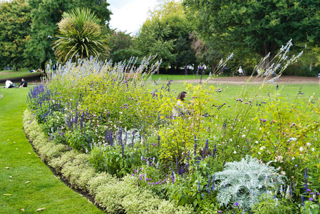 英国伦敦圣詹姆斯公园英国草坪上盛开的花朵
