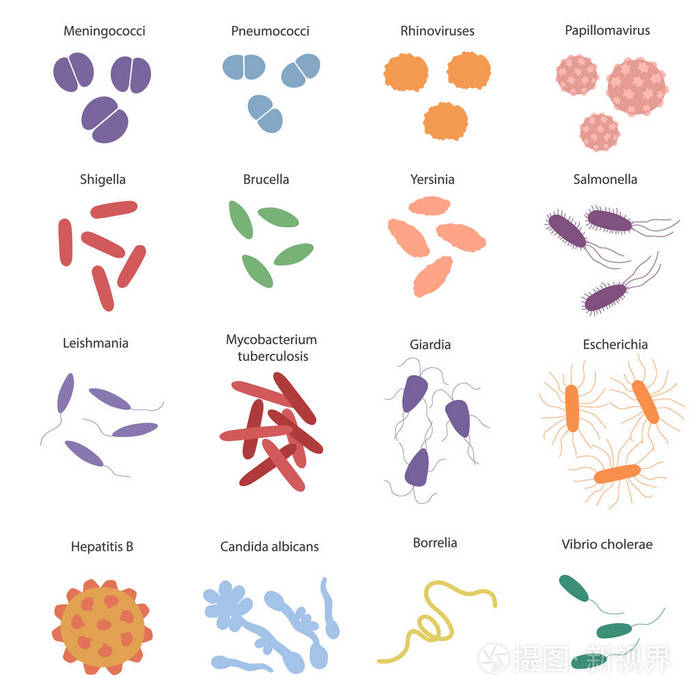 微生物学教育的矢量插图