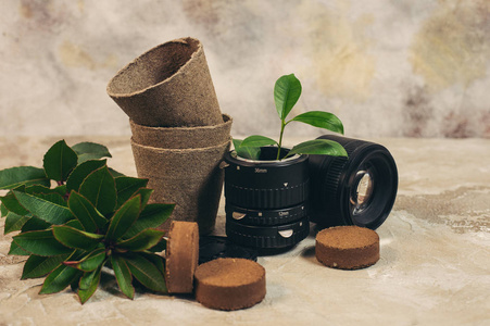 在旧相机镜头中种植绿色植物和再利用回收生态概念