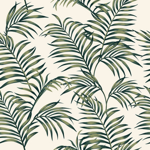 热带棕榈叶矢量无缝图案在白色背景上。 时尚植物重叠背景