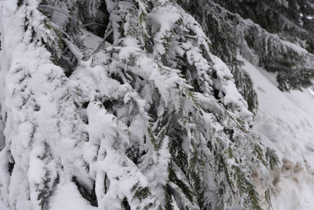 山上的雪山景观