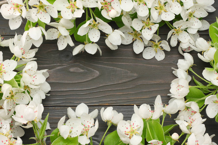 黑色木制背景上的白色樱花。 顶部视图