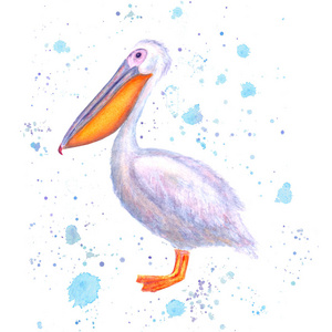 水彩画。 手绘白色鸟与水彩蓝色飞溅隔离在白色背景。 海洋鸟类插图。 海报T恤包装壁纸卡纺织品模板打印。