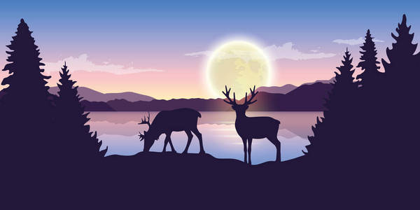 两个驯鹿在湖边的夜晚与满月紫色的自然景观