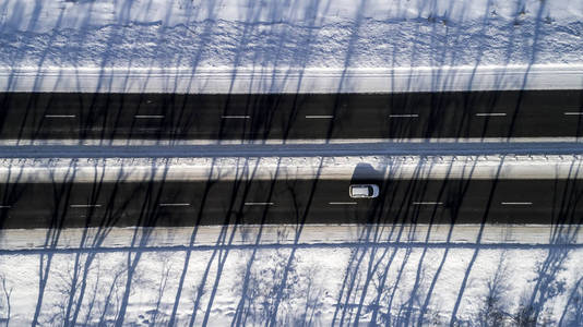 冬季雪路鸟图