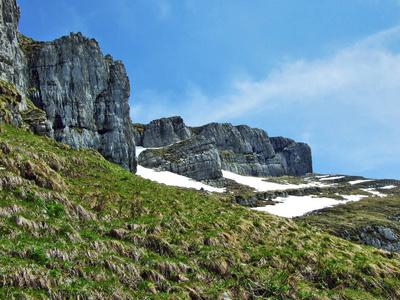瑞士圣加伦州丘尔弗林山脉的石块
