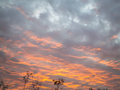 美丽的金色夕阳天空与云彩与剪影树。