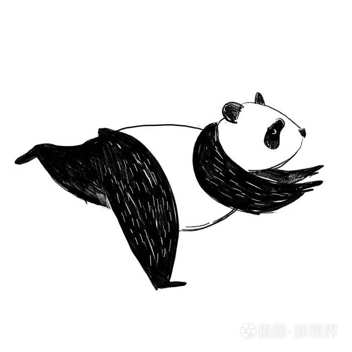黑白铅笔插图. 手绘熊猫素描