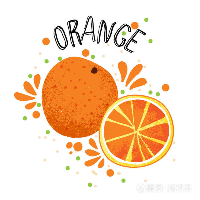 向量手画橙色例证.在白色背景上查出的橙片和果汁飞溅