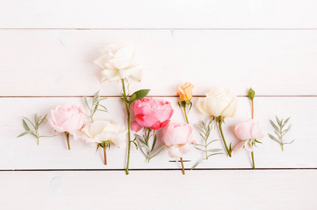 节日花粉红色英文玫瑰构图在白色背景上。 俯视平面铺设。 复制空间。 生日母亲情人节女性婚礼日概念。