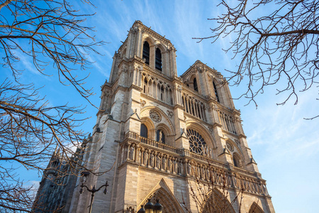 巴黎圣母院中世纪大教堂教堂的正面。