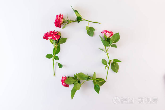 红白玫瑰花,白色背景上有绿叶.