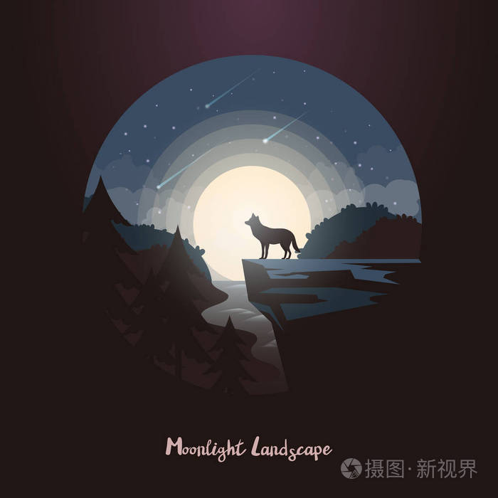 狼动物在岩石或悬崖在夜森林