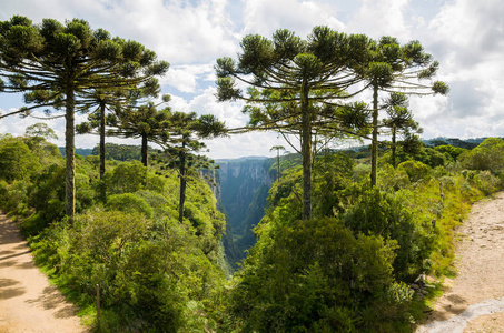 美丽的景观伊伊泰姆贝齐尼奥峡谷和绿色热带雨林，坎巴拉，苏里奥格兰德，苏拉巴西