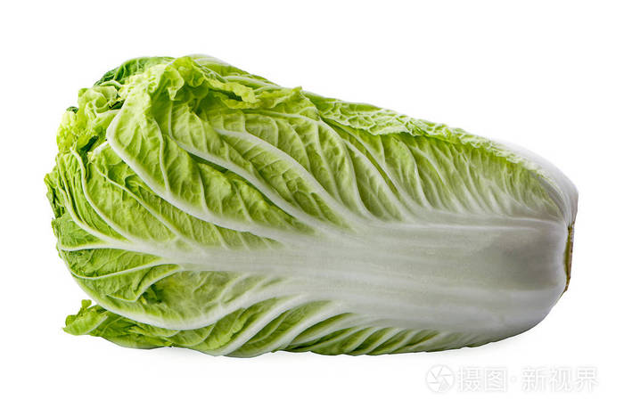 白色背景下的新鲜大白菜