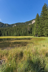 保加利亚罗多普山上的夏景特雷维托斯莫利安湖