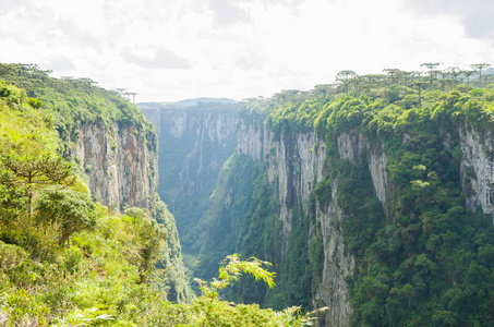 美丽的景观，伊泰姆贝齐尼奥峡谷和绿色热带雨林，坎巴拉，苏里奥格兰德，苏拉巴西