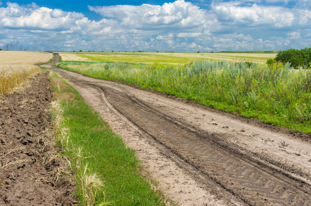 经典的乌克兰夏季景观，有玉米地和道路