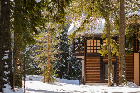 松林附近的木制小屋, 被雪覆盖着。雪乡冬日的画面度假小屋, 阿尔卑斯山风光。滑雪场。木房子在阳光明媚的晴朗的日子。雪山中的高山村