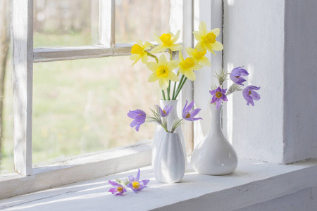 窗台上的春花