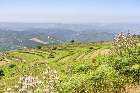 葡萄牙阿尔加维山脉的梯田景观