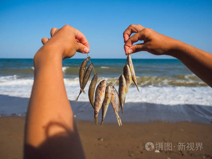 干鱼就在海滩上