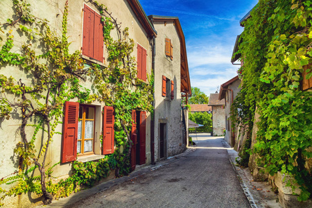 中世纪法国小镇伊沃伊尔的常春藤覆盖的房屋