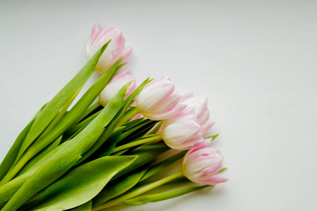 在浅色背景上的粉红色郁金香的花束。假日卡。郁金香一堆。你好, 春天。复活节快乐, 3月8日, 母亲节概念。春天的花朵。复制空间