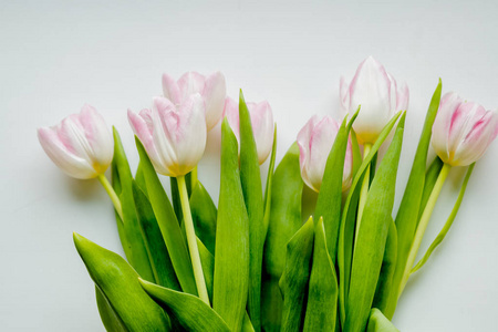 在浅色背景上的粉红色郁金香的花束。假日卡。郁金香一堆。你好, 春天。复活节快乐, 3月8日, 母亲节概念。春天的花朵。复制空间