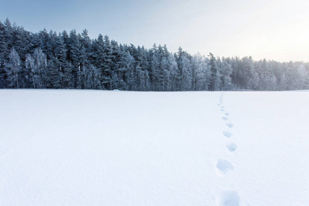 冬天的风景和一个人在雪地上和痕迹