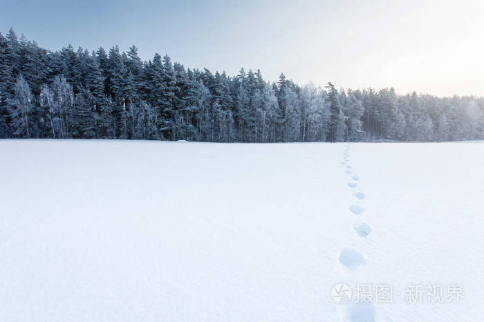 冬天的风景和一个人在雪地上和痕迹照片-正版商用图片188vi8-摄图新视
