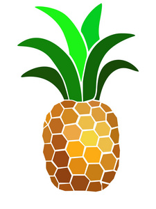 彩色图像菠萝。带有明亮的菠萝水果的标志。印花模板，装饰性花卉元素。