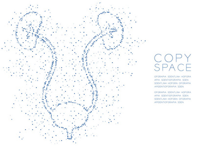 肾脏和膀胱形状抽象几何圆点像素图案医学科学器官概念设计蓝色插图，白色背景，复制空间矢量EPS10